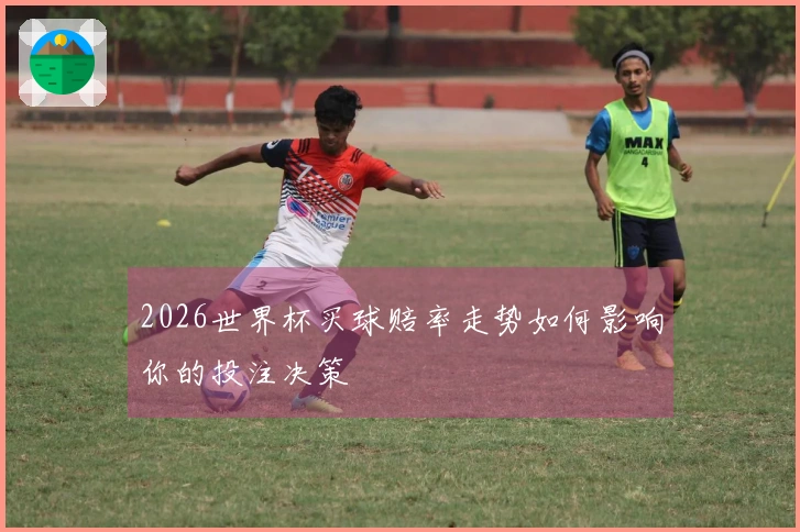 2026世界杯买球赔率走势如何影响你的投注决策