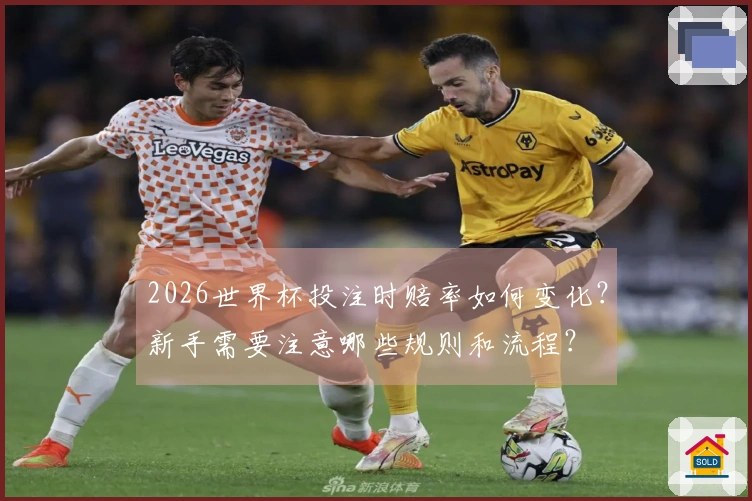 2026世界杯投注时赔率如何变化？新手需要注意哪些规则和流程？