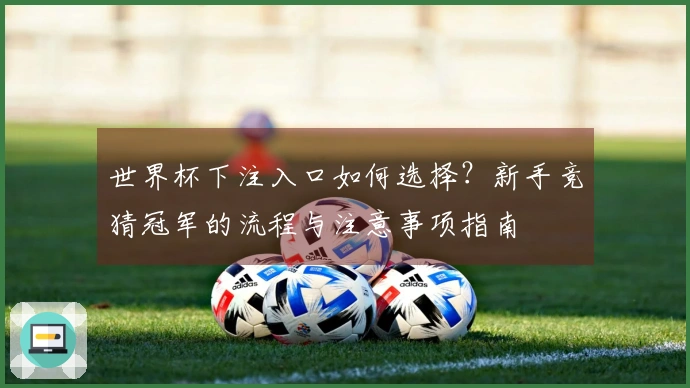 世界杯下注入口如何选择？新手竞猜冠军的流程与注意事项指南