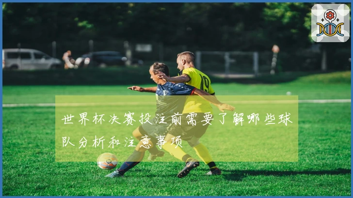 世界杯决赛投注前需要了解哪些球队分析和注意事项