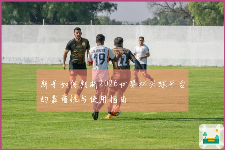 新手如何判断2026世界杯买球平台的靠谱性与使用指南