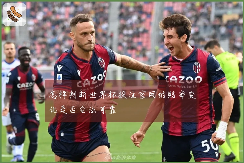 怎样判断世界杯投注官网的赔率变化是否合法可靠