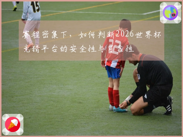 赛程密集下，如何判断2026世界杯竞猜平台的安全性与可靠性