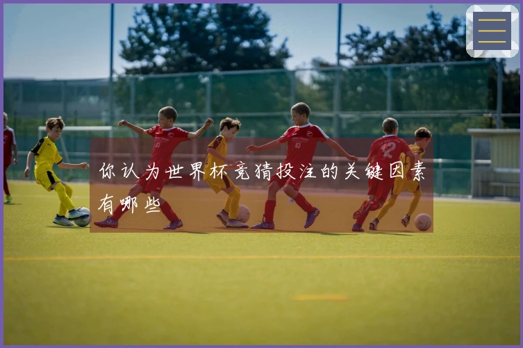 你认为世界杯竞猜投注的关键因素有哪些