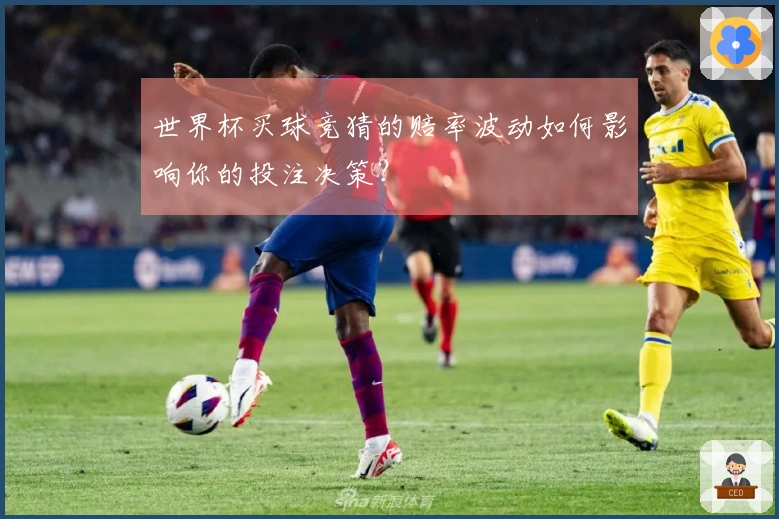 世界杯买球竞猜的赔率波动如何影响你的投注决策？
