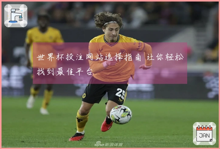世界杯投注网站选择指南 让你轻松找到最佳平台