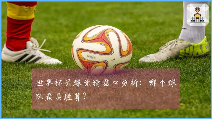 世界杯买球竞猜盘口分析:哪个球队最具胜算?