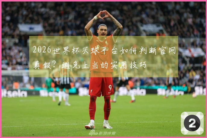 2026世界杯买球平台如何判断官网真假？避免上当的实用技巧
