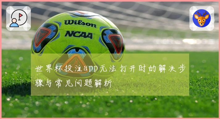 世界杯投注app无法打开时的解决步骤与常见问题解析