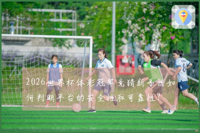 2026世界杯体彩冠军竞猜新手该如何判断平台的安全性和可靠性？