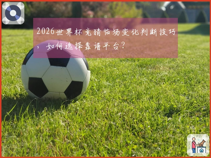 2026世界杯竞猜临场变化判断技巧，如何选择靠谱平台？