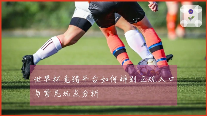 世界杯竞猜平台如何辨别正规入口与常见坑点分析