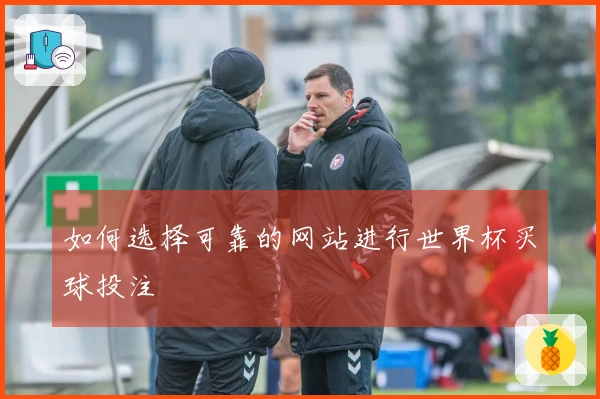 如何选择可靠的网站进行世界杯买球投注