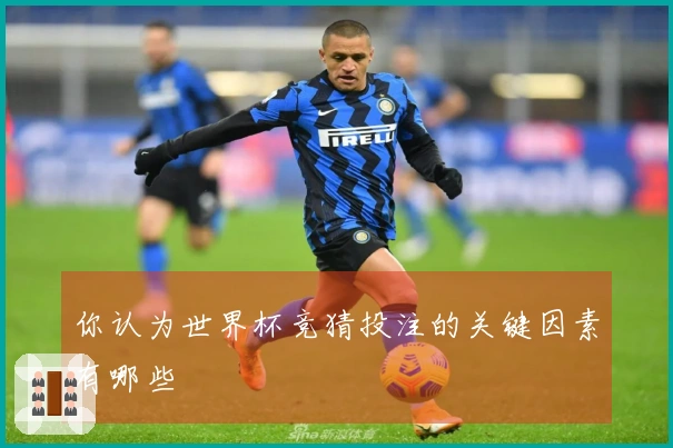 你认为世界杯竞猜投注的关键因素有哪些