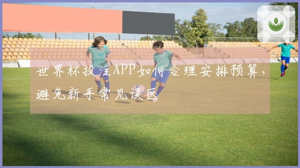 世界杯投注APP如何合理安排预算，避免新手常见误区