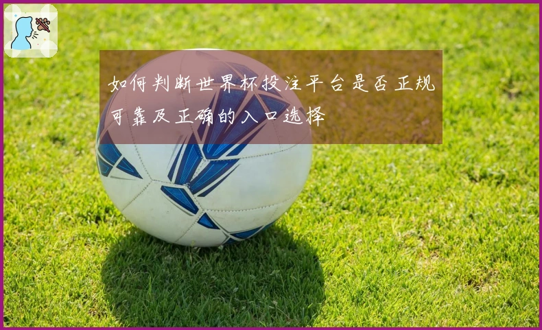 如何判断世界杯投注平台是否正规可靠及正确的入口选择