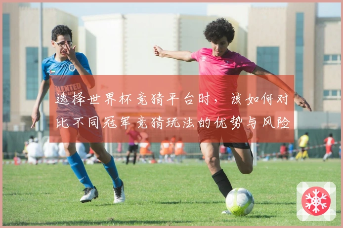 选择世界杯竞猜平台时，该如何对比不同冠军竞猜玩法的优势与风险？