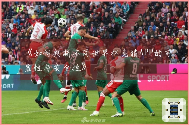 《如何判断不同世界杯竞猜APP的可靠性与安全性》