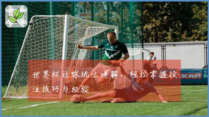 世界杯让球玩法详解，轻松掌握投注技巧与经验