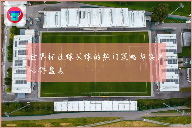 世界杯让球买球的热门策略与实用心得盘点