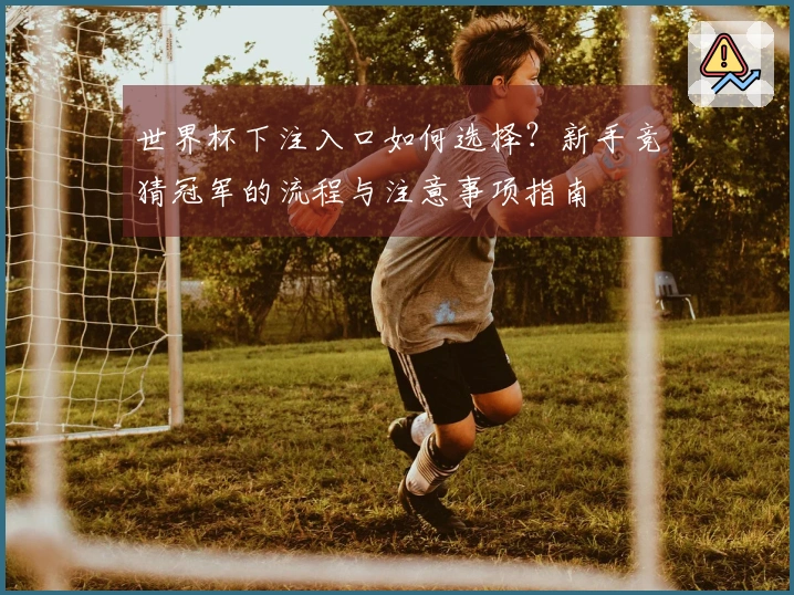 世界杯下注入口如何选择？新手竞猜冠军的流程与注意事项指南