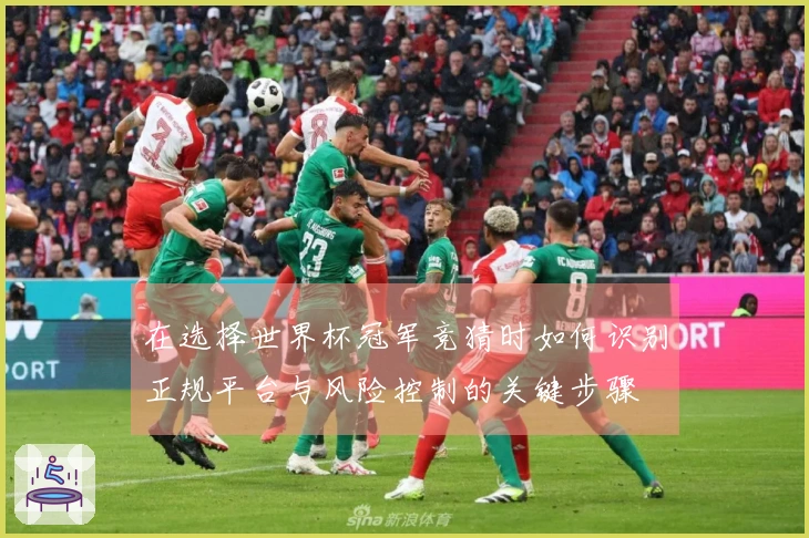 在选择世界杯冠军竞猜时如何识别正规平台与风险控制的关键步骤