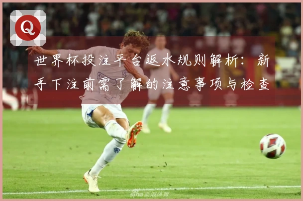 世界杯投注平台返水规则解析：新手下注前需了解的注意事项与检查要点