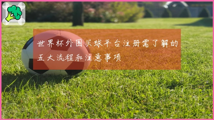 世界杯外围买球平台注册需了解的五大流程和注意事项