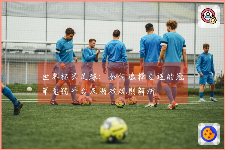 世界杯买足球：如何选择合适的冠军竞猜平台及游戏规则解析