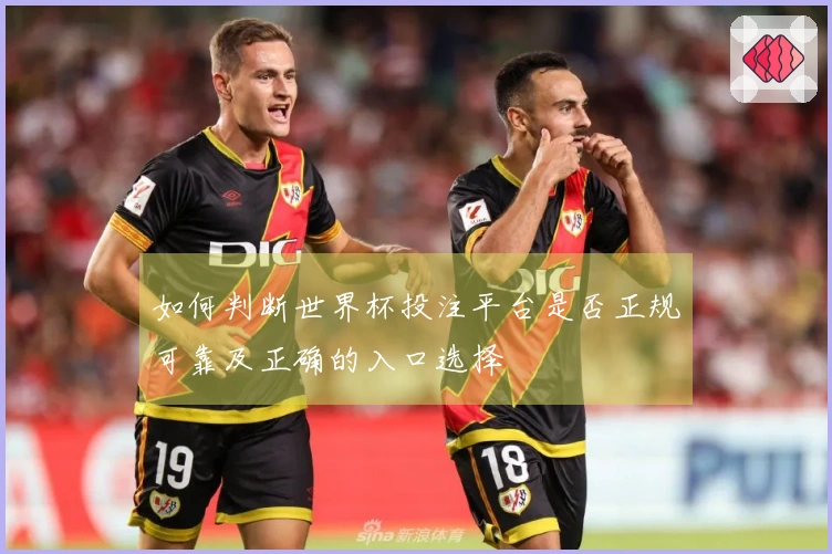如何判断世界杯投注平台是否正规可靠及正确的入口选择