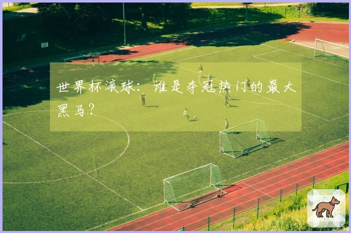 世界杯滚球：谁是夺冠热门的最大黑马？