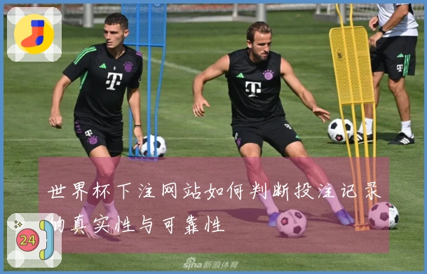 世界杯下注网站如何判断投注记录的真实性与可靠性