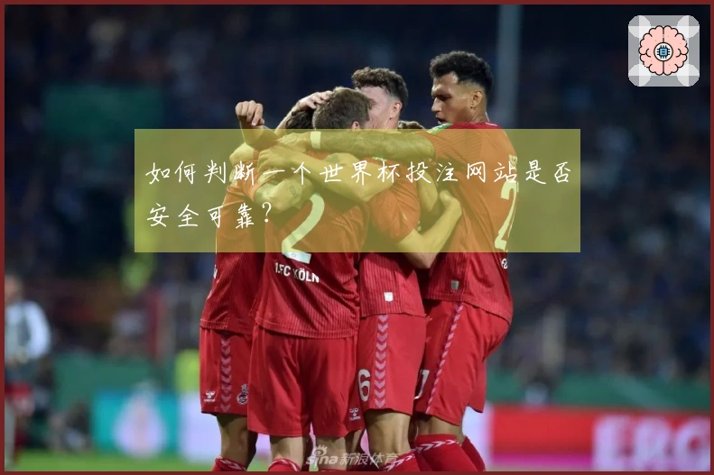 如何判断一个世界杯投注网站是否安全可靠？