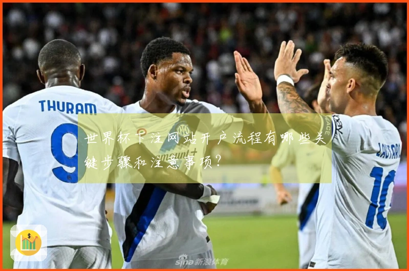 世界杯下注网站开户流程有哪些关键步骤和注意事项？