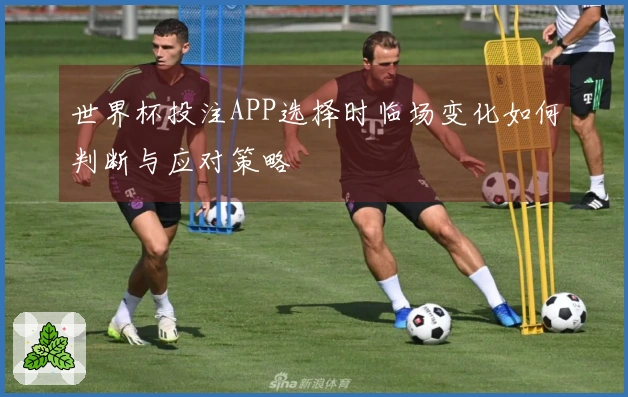 世界杯投注APP选择时临场变化如何判断与应对策略